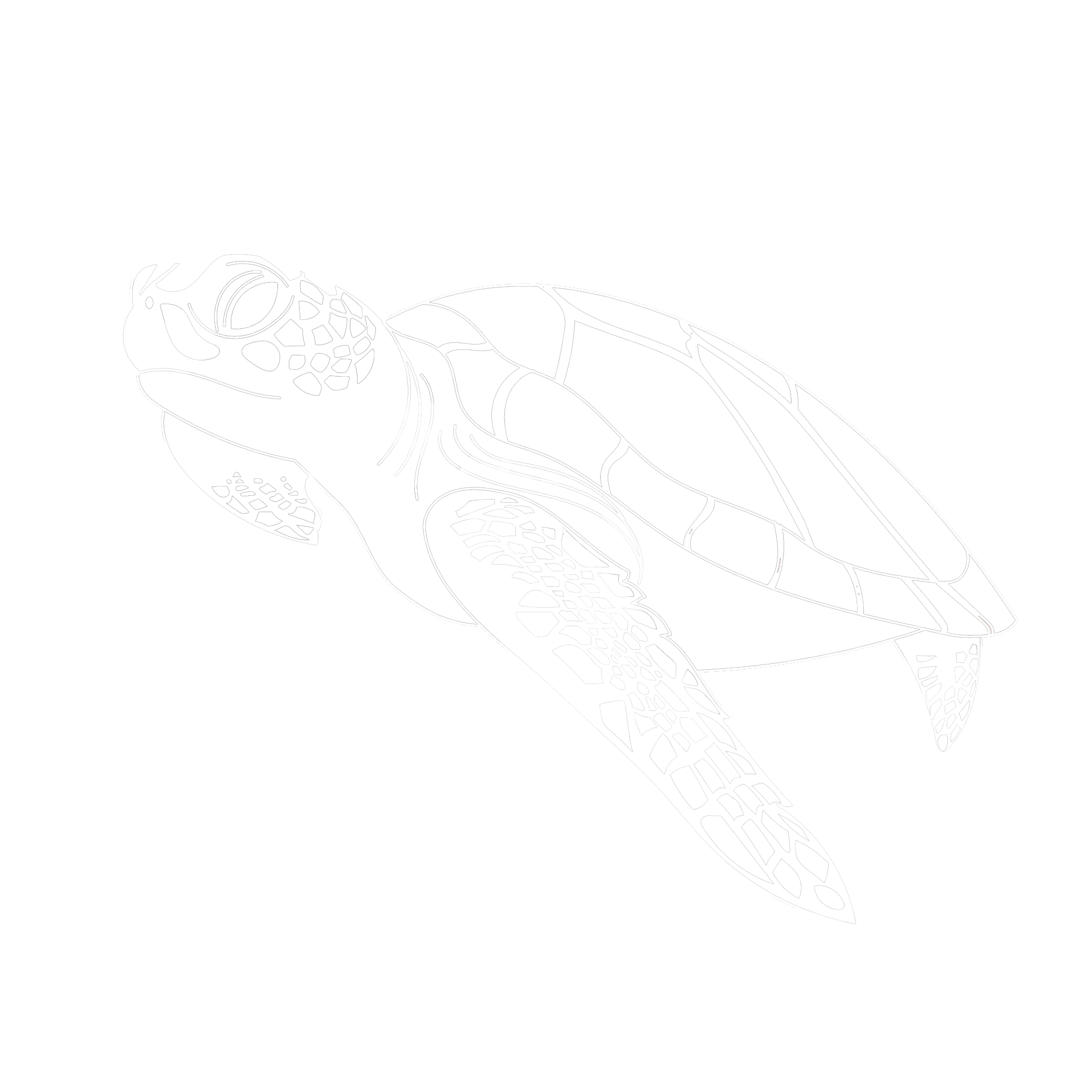 Marine Stranding