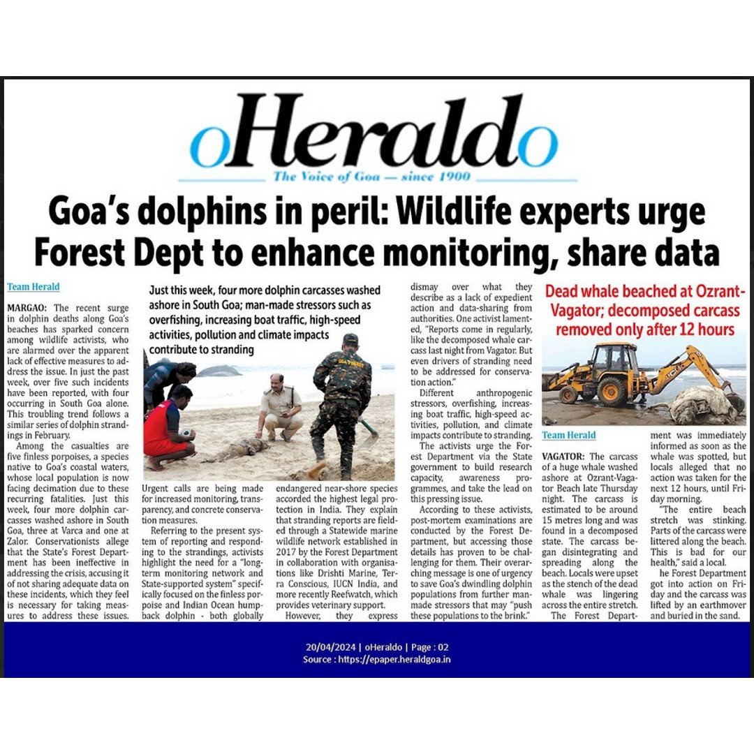 Drishti Marines press coverage 2